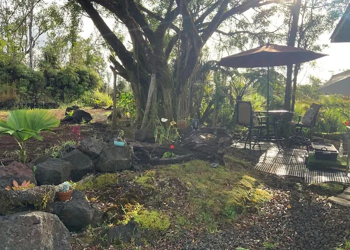 Majestic Banya Tree Cabin