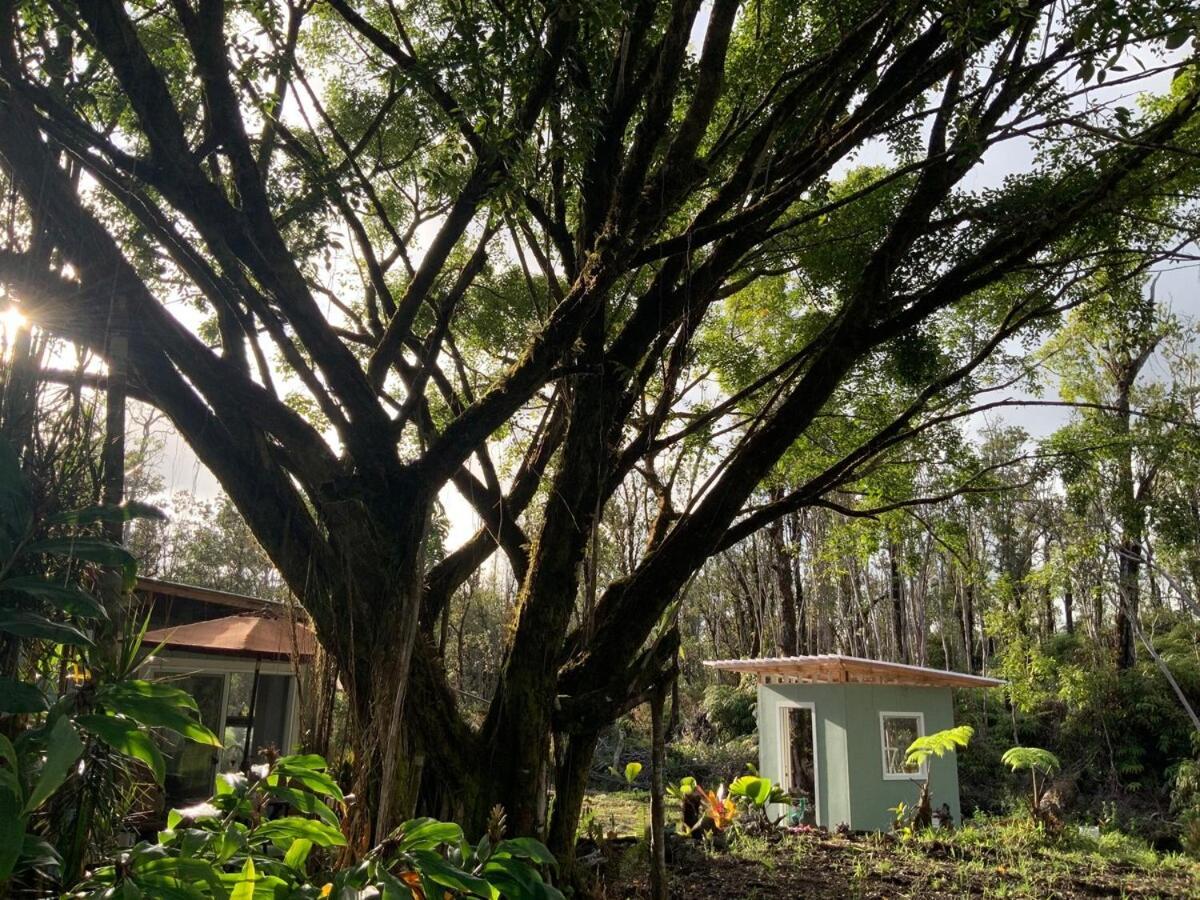Holiday home Majestic Banya Tree