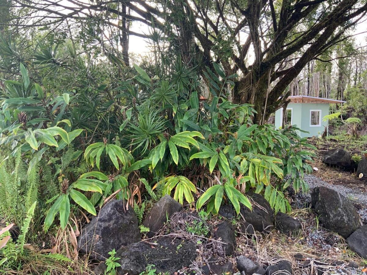 Holiday home Majestic Banya Tree