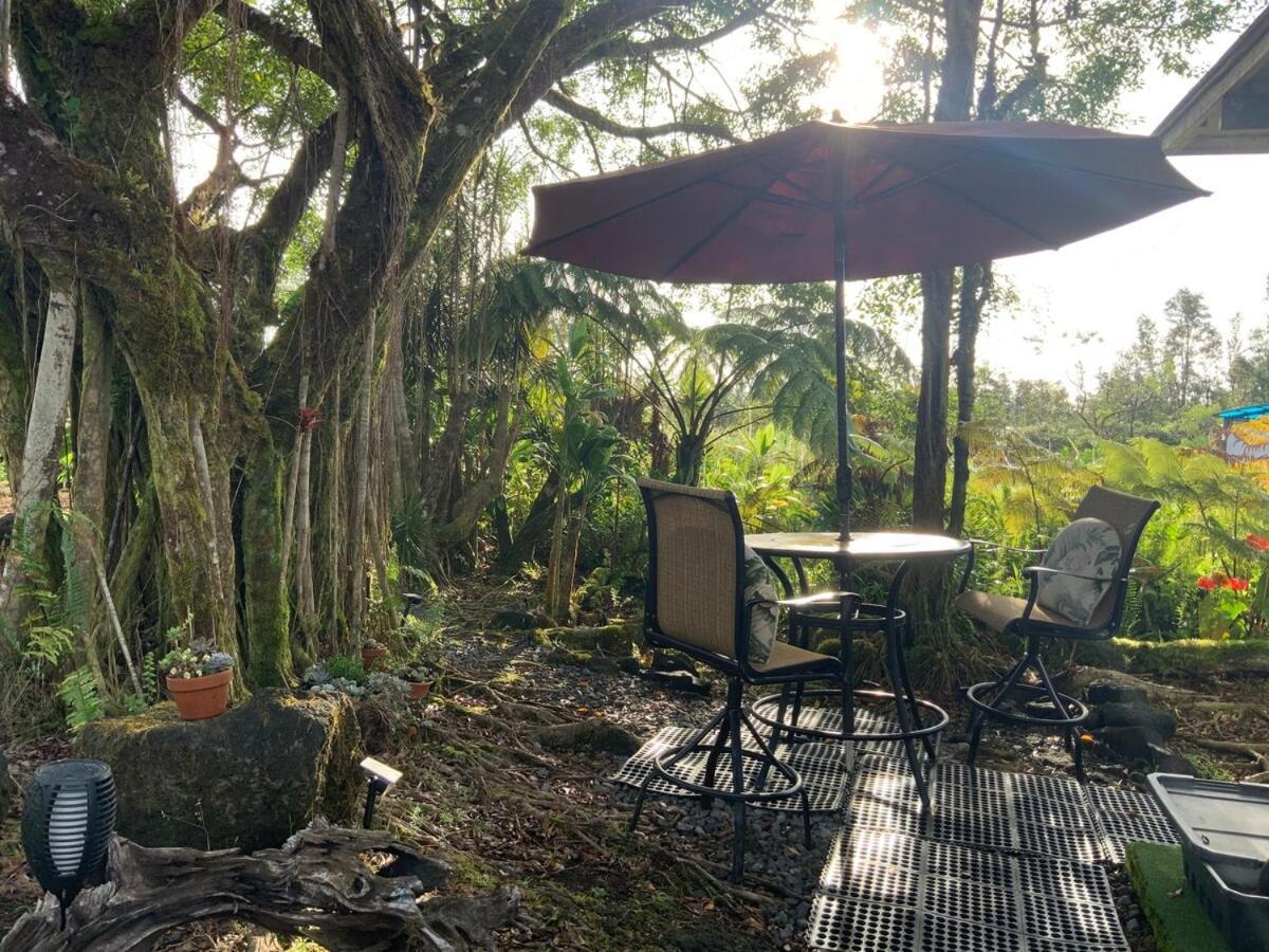 Majestic Banya Tree